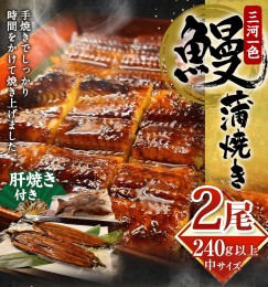 【ふるさと納税】中(5P) 三河一色 鰻 蒲焼き 2尾 (240g以上) (肝焼き付き) うなぎ 鰻 蒲焼 丑の日 土用の丑の日