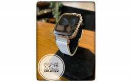 【ふるさと納税】CN-009_Apple Watch専用シルバー925製チャーム_sevenstone(Diamond)&ラバーバンド