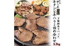 【ふるさと納税】牛タンと牛ハラミの味付肉詰め合わせ3.3kg ＜肉の匠 中むら屋厳選＞　【1687】