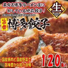 【ふるさと納税】AB285.【創業40年の老舗が誇る味わい】博多餃子１２０個