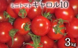 【ふるさと納税】先行受付 2024年8月出荷 北海道 仁木町産 ミニトマト 3kg （品種： キャロル10 ） 