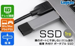 【ふるさと納税】【038-04】ロジテック スリム外付けSSD　1TB【LMD-SPDL100U3】