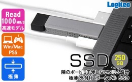 【ふるさと納税】【028-05】ロジテック スリム外付けSSD　250GB　Type-C【LMD-SPDH025UC】