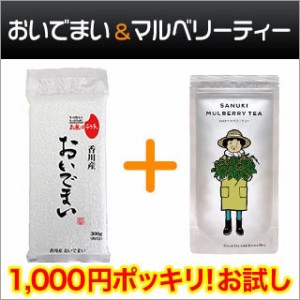 香川県産 おいでまい 白米 300g（2合）×1 + マルベリーティー玄米入り 【ゆうパケット便・4年度産】1000円 ポッキリ 送料無料 食品