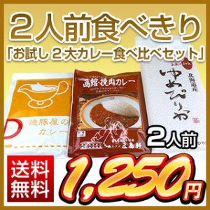 2人前食べきり「お試し2大カレー食べ比べセット」（オコメール＋挽肉カレー中辛＋焼豚カレー甘口）送料無料