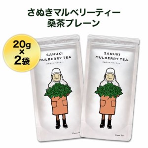 さぬきマルベリーティー　桑茶プレーンティーバッグ×2袋 【ゆうパケット便】【送料無料】ノンカフェイン　お茶 ティーパック