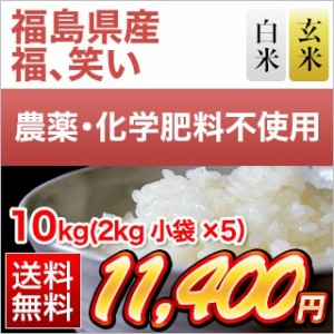 お米 10kg 送料無料　令和5年 福島県産　福、笑い 10kg(2kg×5袋)　【白米・玄米選択】　米袋は窒素充填包装　生産者指定米　　　　　　