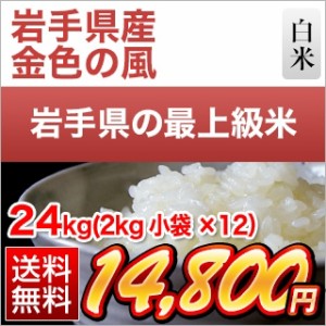 白米 24kg 2kg×12袋 令和5年(2023年)産 岩手県産 金色の風 〈岩手の最高級米 新品種〉 送料無料 【即日出荷】【米袋は窒素充填包装】 米