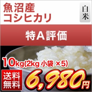 令和5年(2023年)産  新潟県魚沼産 コシヒカリ〈特A評価〉10kg(2kg×5袋）【白米】【送料無料・窒素充填包装】