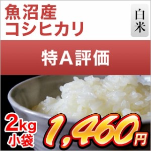 令和5年(2023年)産  新潟県魚沼産 コシヒカリ〈特A評価〉2kg【白米】【米袋は窒素充填包装】