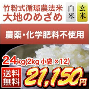 令和5年産 竹粉式循環農法米 大地のめざめ(熊本産 ヒノヒカリ) 24kg(2kg×12袋) 送料無料 白米・玄米 選択 窒素充填包装 完全無農薬米　