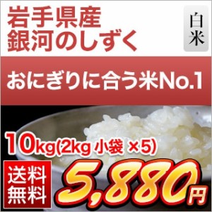 米 10kg  (2kg×5袋)  岩手県産 銀河のしずく 〈デビューして6年連続特A評価〉令和 5年 送料無料 【米袋は窒素充填包装】【即日出荷】 米