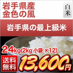 白米 24kg 2kg×12袋 令和5年(2023年)産 岩手県産 金色の風 〈岩手の最高級米 新品種〉 送料無料 【即日出荷】【米袋は窒素充填包装】 米