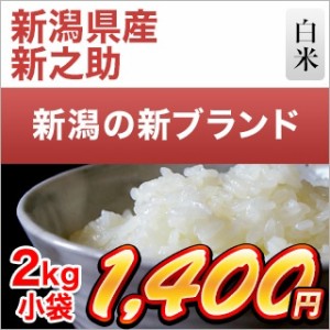 令和5年(2023年) 産 新潟県の新ブランド 新之助 白米 2kg【米袋は窒素充填包装】【即日出荷】