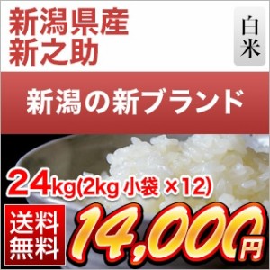 白米 24kg (2kg×12袋) 令和5年(2023年) 産 新潟県産 新之助 【送料無料】【米袋は窒素充填包装】【即日出荷】 米 お米