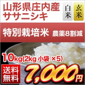 令和5年(2023年)産 山形県庄内産 ササニシキ 10kg(2kg×5袋)【白米のみ】【特別栽培米】【送料無料・窒素充填包装】