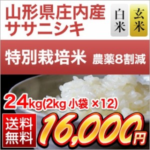 令和5年(2023年)産 山形県庄内産 ササニシキ 24kg(2kg×12袋)【白米のみ】【特別栽培米】【送料無料・窒素充填包装】