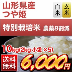 10キロ お米 米 山形県産 つや姫〈14年連続特Ａ評価〉 令和5年産 10kg (2kg×5袋) 【白米・玄米】 農薬8割減 生産者指定米【即日出荷は白