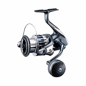 シマノ(SHIMANO) スピニングリール 20 ストラディックSW 4000XG ライトショアジギング プラッギング オフショアキャスティング サーフ 青