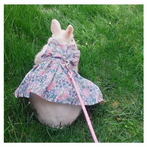 Botocooウサギ 子猫 ハーネス リード セットモルモット 猫 ハムスター 可愛い ドレスうさぎ 服 小型 ハーネス お出かけ 着ぐるみ 簡単着