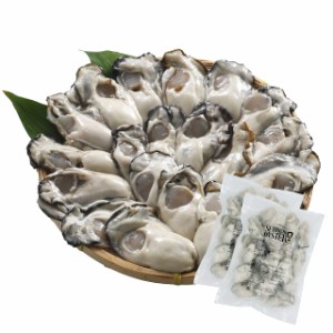 SETOUCHI OYSTER 冷凍かき 広島県産 1.2kg (600g × 2袋 / 2L) 国産 冷凍牡蠣 (殻無し/むき身/加熱用) 大粒 海鮮