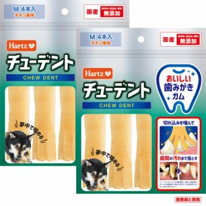 チューデント 犬用おやつ おいしい歯磨きガム M 4本入 ×2袋 | ハーツ(Hartz) | デンタルケア | 歯みがき | 長持ち | 硬い | 小型~中型犬