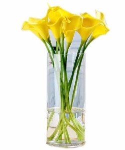 高？感 ガラス 花瓶 花器 シリンダー 円柱 花瓶 ガラス 花瓶 おしゃれ 大 花瓶北欧 花瓶 30cmフラワーベース 花器 バスケット 花瓶 ガー