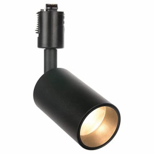 共同照明 ダクトレール用スポットライト LED一体型照明 60W形相当 850lm 電球色 GT-GD-10WW-B ブラック スポットライト 照明器具 おしゃ