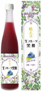 桷志田 フルーツ黒酢ブルーベリー 500ml