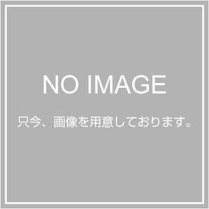 【送料無料】大光電機(DAIKO) シーリングファン羽根(5枚1組) DP-35206 ナチュラル