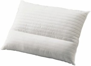 Danfill 枕 ピロー 45×65cm ホワイト 洗える アレルギー予防 ネックピローライト JPA110