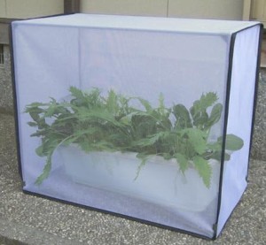 DAIM すっぽり虫よけカバー 小 幅60cm×奥行30cm×高50cm 虫よけ 虫除け 防虫ネット 害虫 対策 防虫カバー 虫 家庭菜園 園芸 ネット カバ