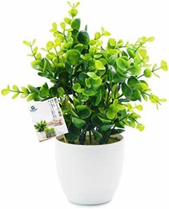 TOSSOW 人工観葉植物 フェイクグリーン 観葉植物 フェイク 造花 ミニ インテリア 世話のいらない 可愛い贈り物 グリーンユーカリ