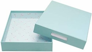 【TAKEMEKI】キッズボックス（ペンギン）パステルブルー A4 ピッタリ サイズ 日本製 お道具箱 収納 KIDS BOX