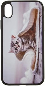 株式会社GLOW i Phone XRオリジナルケース猫B 強化ガラス&タッチペン付き 360-1-06