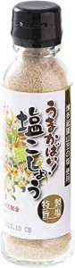 大盛食品 博多祇園山笠 塩こしょう 110g