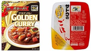 【セット販売】S&B ゴールデンカレーレトルト辛口 200g×5箱 + サトウのごはん 魚沼産こしひかり 200g×6個