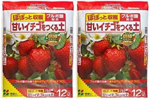 花ごころ イチゴの土12L×2袋
