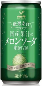 神戸居留地 厳選素材 国産果汁の メロンソーダ 缶 185ml×20本 [ 国産 メロン果汁 使用 国内製造]