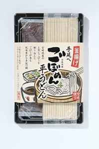 清家商会 手延べごぼめん平うどん 280g(めん180g、つゆ50g×2袋) × 2