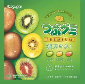 春日井製菓 つぶグミPREMIUM濃厚キウイ 75g×10袋