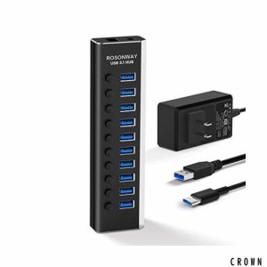 ROSONWAY USB ハブ 3.1 Gen2 10Gbps 10ポートアルミ製 36W USB HUB セルフパワー USBケーブルとType Cケーブル 付き 12V/3A ACアダプタ