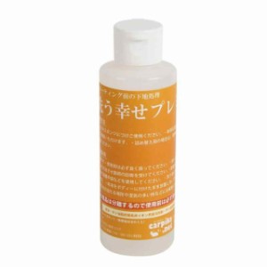 【洗う幸せプレミアム100ml】洗車用品 カーシャンプー 脱脂洗浄 車用シャンプー シャンプー洗車 水垢除去 洗車 カー用品 carpika.net (カ