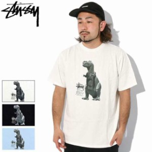 ステューシー Tシャツ 半袖 STUSSY メンズ Big &amp Meaty Pigment Dyed ( stussy tシャツ tee ピグメント カットソー 1904880 USAモデ