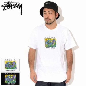 ステューシー Tシャツ 半袖 STUSSY メンズ Irises ( stussy tee T-SHIRTS カットソー トップス 男性用 1904624 USAモデル 正規 )