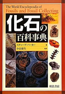 化石の百科事典(中古品)