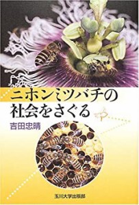 ニホンミツバチの社会をさぐる(未使用 未開封の中古品)