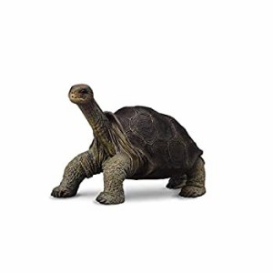 【中古品】COLLECTA　動物フィギュア　ガラパゴスゾウガメ　88619(中古品)