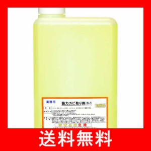 野口商事 強力カビ取り剤 B-1 業務用 超強力【詰め替えタイプ】1000ml 風呂 浴室 頑固な黒カビ取り剤