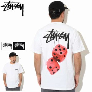 ステューシー Tシャツ 半袖 STUSSY メンズ Fuzzy Dice ( stussy tee T-SHIRTS カットソー トップス 男性用 1904765 USAモデル 正規 )